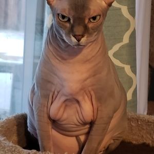 Meet your Posher, Leah